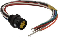 Brad Harrison - 7 Amp, Female Straight Receptacle - 600 VAC/VDC, 0.31m Cable Length, IP67 Ingress Rating - Americas Industrial Supply