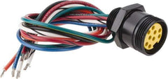 Brad Harrison - 7 Amp, Female Straight Receptacle - 600 VAC/VDC, 0.31m Cable Length, IP67 Ingress Rating - Americas Industrial Supply