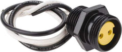 Brad Harrison - 13 Amp, Female Straight Receptacle - 600 VAC/VDC, 0.31m Cable Length, IP67 Ingress Rating - Americas Industrial Supply