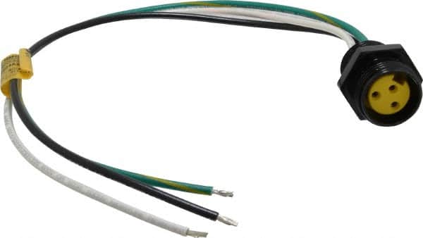 Brad Harrison - 13 Amp, Female Straight Receptacle - 600 VAC/VDC, 0.31m Cable Length, IP67 Ingress Rating - Americas Industrial Supply