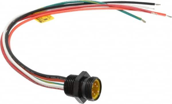 Brad Harrison - 8 Amp, Male Straight Receptacle - 600 VAC/VDC, 0.31m Cable Length, IP67 Ingress Rating - Americas Industrial Supply