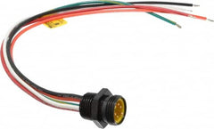Brad Harrison - 8 Amp, Male Straight Receptacle - 600 VAC/VDC, 0.31m Cable Length, IP67 Ingress Rating - Americas Industrial Supply