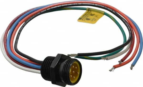 Brad Harrison - 8 Amp, Male Straight Receptacle - 600 VAC/VDC, 0.31m Cable Length, IP67 Ingress Rating - Americas Industrial Supply