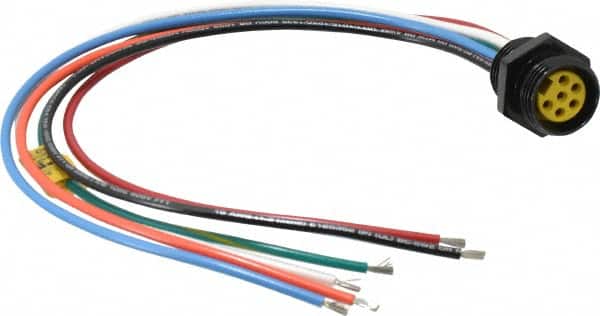 Brad Harrison - 8 Amp, Female Straight Receptacle - 600 VAC/VDC, 0.31m Cable Length, IP67 Ingress Rating - Americas Industrial Supply