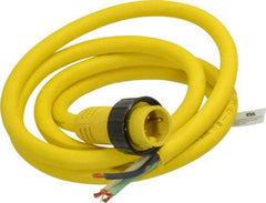 Brad Harrison - 18 Amp, Male Cordset Sensor and Receptacle - IP68 Ingress Rating - Americas Industrial Supply