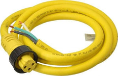 Brad Harrison - 18 Amp, Female Cordset Sensor and Receptacle - IP68 Ingress Rating - Americas Industrial Supply