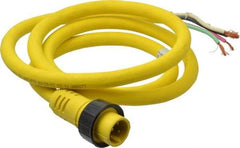 Brad Harrison - 15 Amp, Male Cordset Sensor and Receptacle - IP68 Ingress Rating - Americas Industrial Supply