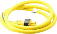 Brad Harrison - 15 Amp, Female Straight to Pigtail Cordset Sensor and Receptacle - 600 Volt, 1.83m Cable Length, IP67 Ingress Rating - Americas Industrial Supply