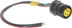 Brad Harrison - 15 Amp, Female Straight Receptacle - IP68 Ingress Rating - Americas Industrial Supply