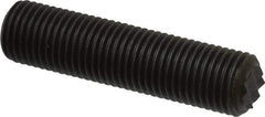 Fairlane - Serrated Tooth, 3/8-24, 3/16" Internal Hex, 1-1/2" Thread Length, Black Oxide Finish, Fully Threaded, Adjustable Positioning Gripper - 1/4" Pad Diam, Extra Fine Tooth Grade - Americas Industrial Supply