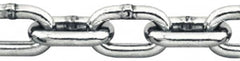 Pewag - 1/8" Welded Stainless Steel Chain - 410 Lb Capacity, Grade 30, Cut to Length, Stainless Steel, Bright Finish - Americas Industrial Supply
