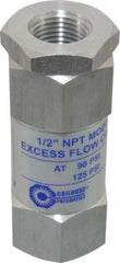 Coilhose Pneumatics - 1/2" Aluminum Check Valve - Inline, FPT x FPT - Americas Industrial Supply