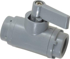 Specialty Mfr - 1/4" Pipe, PVC Standard Ball Valve - Inline - Two Way Flow, FNPT x FNPT Ends, Wedge Handle, 125 WOG - Americas Industrial Supply