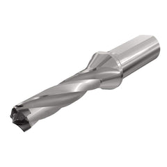 Replaceable Tip Drill: 0.866 to 0.902'' Drill Dia, 2.785″ Max Depth, 1'' Flatted Shank Uses H3P Inserts, 6.6″ OAL, Through Coolant