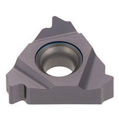 16IR 8RAPI T313V Tungthread Ins - Ld - "G" W/O C/B - Americas Industrial Supply