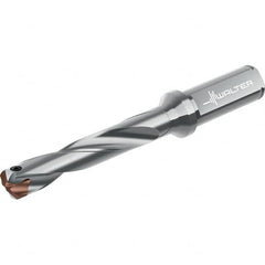 Walter - Replaceable-Tip Drills Series: D4140 Minimum Drill Diameter (mm): 25.00 - Americas Industrial Supply
