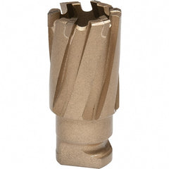 Hougen - 20mm Diam x 19mm Deep Carbide-Tipped Annular Cutter - Americas Industrial Supply