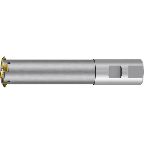 D30X95-SD32 11 INSERT BODY-Z3