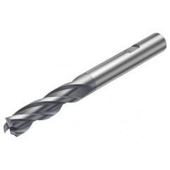 1P260-1000-XB 1620 10mm FL Straight Center Cut w/Weldon Shank - Americas Industrial Supply