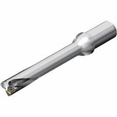 Sandvik Coromant - Indexable Insert Drills Drill Style: DS20 Drill Diameter (mm): 31.00 - Americas Industrial Supply