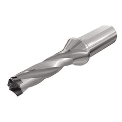 Replaceable Tip Drill: 0.748 to 0.783'' Drill Dia, 2.407″ Max Depth, 1'' Flatted Shank Uses H3P Inserts, 6″ OAL, Through Coolant