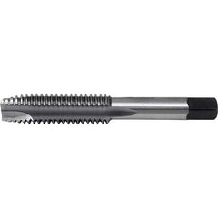 Cle-Line - Spiral Point Taps Thread Size (Inch): 3/4-16 Number of Flutes: 3 - Americas Industrial Supply
