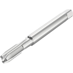 Seco - Spiral Point Taps Thread Size (Inch): 10-32 Number of Flutes: 3 - Americas Industrial Supply