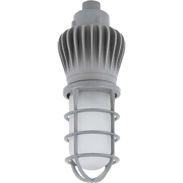 Hubbell Lighting - Hazardous Location Light Fixtures Resistance Features: Vaporproof Recommended Environment: Indoor; Outdoor - Americas Industrial Supply