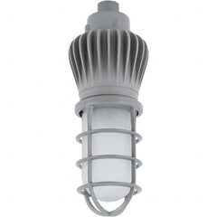 Hubbell Lighting - Hazardous Location Light Fixtures Resistance Features: Vaporproof Recommended Environment: Indoor; Outdoor - Americas Industrial Supply