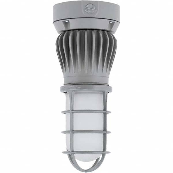 Hubbell Lighting - Hazardous Location Light Fixtures Resistance Features: Vaporproof Recommended Environment: Indoor; Outdoor - Americas Industrial Supply