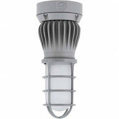 Hubbell Lighting - Hazardous Location Light Fixtures Resistance Features: Vaporproof Recommended Environment: Indoor; Outdoor - Americas Industrial Supply