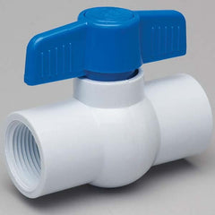 2-Way Manual Ball Valve: 2″ Pipe, Full Port FNPT x FNPT