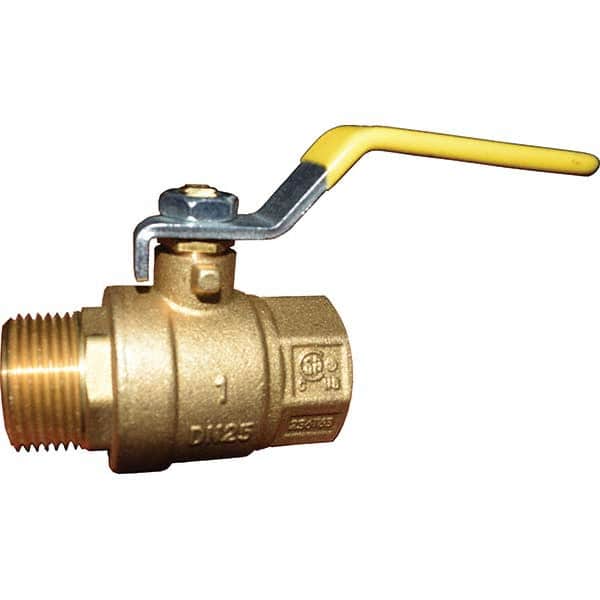 2-Way Manual Ball Valve: 1″ Pipe, Full Port MNPT x FNPT
