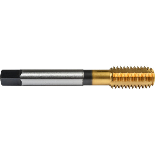 ‎No.4 40 Union Butterfield HSS-PM TiN Applix UNC UNC Machine Forming Tap ANSI E-code # 16414-40H3 - Exact Industrial Supply