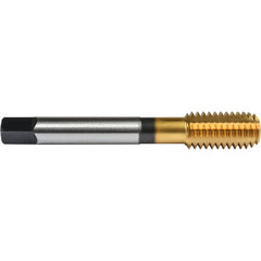 ‎No.4 40 Union Butterfield HSS-PM TiN Applix UNC UNC Machine Forming Tap ANSI E-code # 16414-40H3 - Exact Industrial Supply