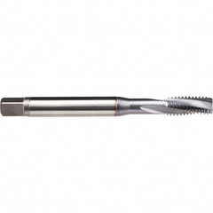 Emuge - 1/2-13 UNC 3 Flute H6 2-3 P Spiral Flute Tap - Americas Industrial Supply