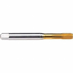 Emuge - 1/2-13 UNC 2BX Bottoming Thread Forming Tap - Americas Industrial Supply