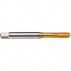 Emuge - #10-24 UNC 2BX Bottoming Thread Forming Tap - Americas Industrial Supply