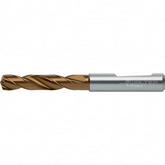 Walter-Titex - Screw Machine Length Drill Bits Drill Bit Size (Decimal Inch): 0.5512 Drill Bit Size (mm): 14.00 - Americas Industrial Supply