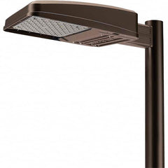 Hubbell Lighting - Parking Lot & Roadway Lights Fixture Type: Area Light Lamp Type: LED - Americas Industrial Supply