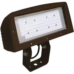 Hubbell Lighting - Floodlight Fixtures Mounting Type: Yoke Mount Housing Color: Bronze - Americas Industrial Supply