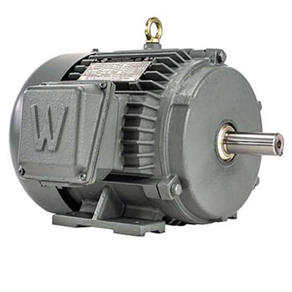 Worldwide Electric - Electric AC/DC Motors Motor Type: Premium Efficient Type of Enclosure: TEFC - Americas Industrial Supply