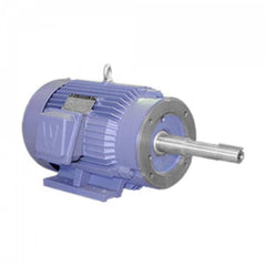 Worldwide Electric - Electric AC/DC Motors Motor Type: Premium Efficient Type of Enclosure: TEFC - Americas Industrial Supply