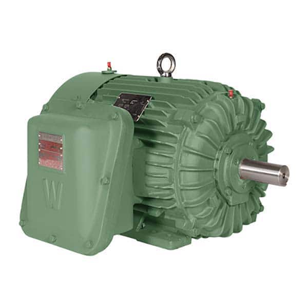 Worldwide Electric - Explosion Proof Motors NEMA Frame: 365T Horsepower: 75 - Americas Industrial Supply