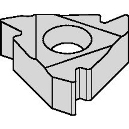 2ILA60 TN6025 Laydown Threading Insert - Americas Industrial Supply