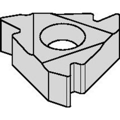 2ILA60 TN6025 Laydown Threading Insert - Americas Industrial Supply
