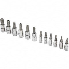 Torx Bit Socket Set: 12 Pc T10, T15, T20, T25, T27, T30 for 1/4 Drive, T40, T45, T47, T50, T55, T60 for 3/8 Drive