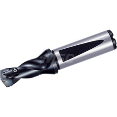 Replaceable Tip Drill: 10 to 10.49 mm Drill Dia, 15.8 mm Max Depth, 16 mm Flange Shank Seat Size 10, 79.2 mm OAL, Through Coolant