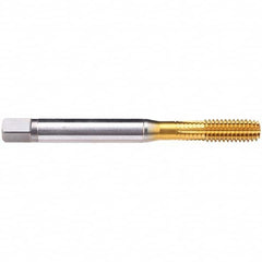 Emuge - 1/2-13 UNC 2B Modified Bottoming Thread Forming Tap - Americas Industrial Supply