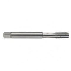 M10 x 1.5 Dia. - 6H - 4 FL - Carbide Semi-Bott Tap - Bright Finish-Coolant-Thru-FORM-C - Americas Industrial Supply